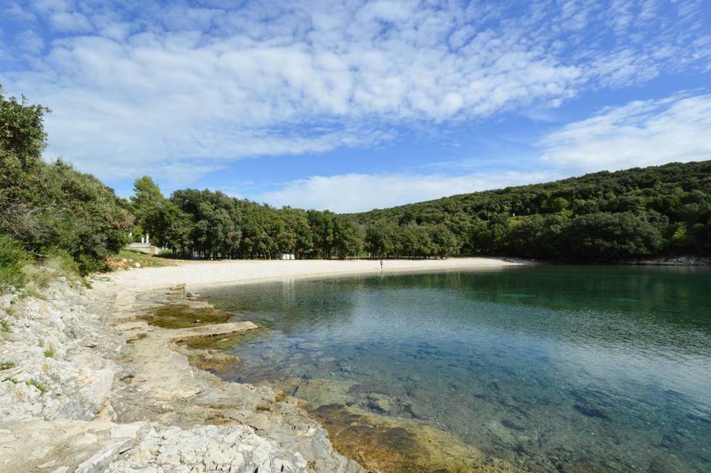 Villa Kuca Za Odmor Dean Pavicini Exterior foto